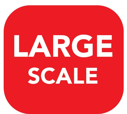 (image for) Large Scale